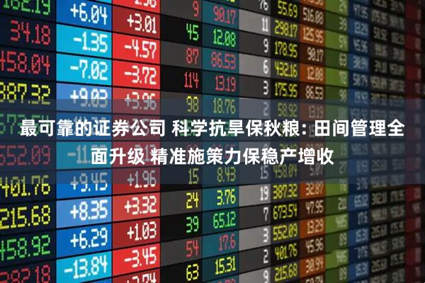 最可靠的证券公司 科学抗旱保秋粮: 田间管理全面升级 精准施策力保稳产增收